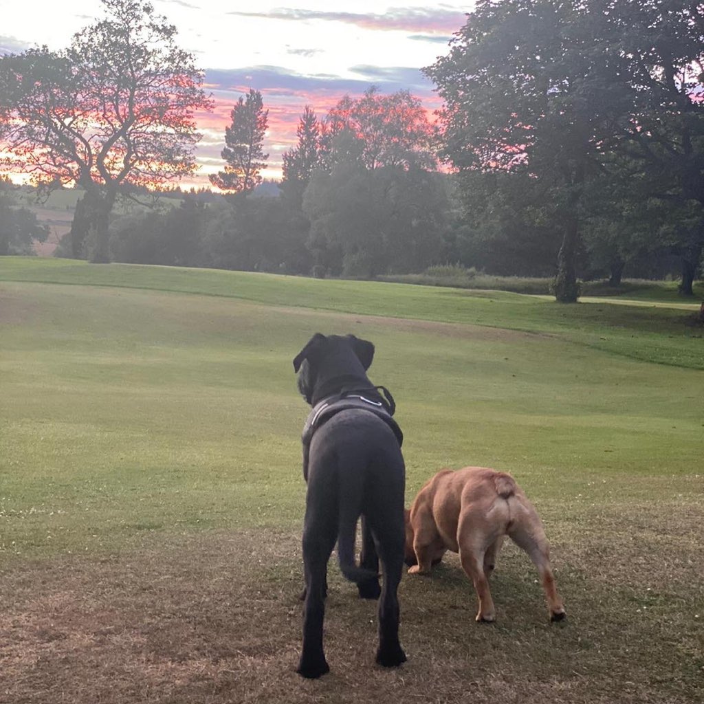 LauraBFaulkner's tweet photo. 🌅🧡 https://t.co/3WQlZ3GbXB