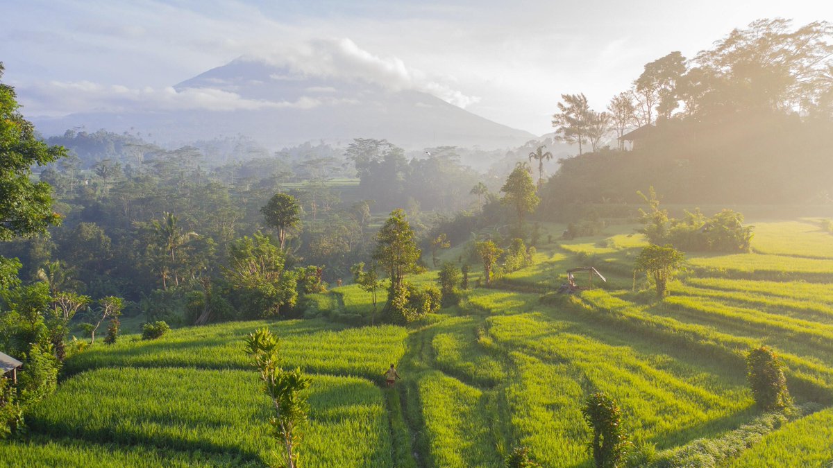 Cambridge_CL's tweet photo. Monitoring Ghanaian forest biodiversity with machine learning &amp; indigenous knowledge, and hybrid tropical cyclones hazard modelling. Just 2 of the PhD projects  @AI4ER_CDT students will start this October. See more in their latest newsletter: https://t.co/mpAkFB4mfP https://t.co/hiyMRSWkmw
