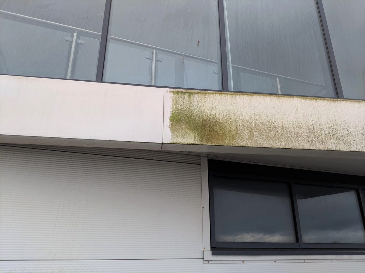 TLCExternalCle1's tweet photo. 20% OFF ALL CLEANING SERVICES 
WINDOWS - GUTTERING - JET WASHING - FASCIAS &amp; SOFFITS

CONTACT US FOR YOUR FREE QUOTATION
https://t.co/CKWmVKwEHg

#windowcleaning #guttercleaning #jetwashing #staffordshire #cheshire #commercial #domestic #uk #Manchester #WestMidlands #eastmidlands https://t.co/TWu9rhiNW9