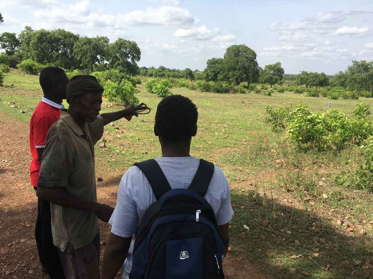 GCRF_BRECcIA's tweet photo. Successful farmer-managed natural regeneration (FMNR)? Not without considering social equity - see the blog by Sebastian Reichel (@SebastianReich5) on  BRECcIA researcher Dr Matt Kandel's recent paper with @RahiRahina @kschreckenberg1 as co-authors

https://t.co/BRhR8cxvDF

#FMNR https://t.co/Fg9D1CNXnG