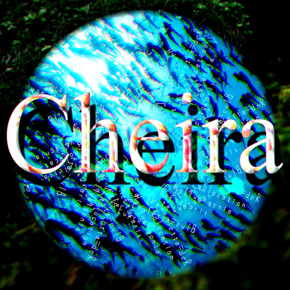 石亀 Tjemlmeghwbzj9n Twitter