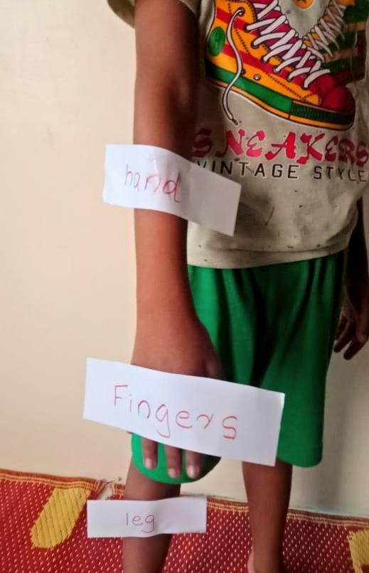 StMarksSchools's tweet image. Learning about the Parts of The Body, Montessori Froebel learning approaches that build Stronger Understanding. #stmarkssch #schoolathome #stayathomelearning #partsofthebody #montessori #froebel #strongfoundations #leadingkindergarten #leadingkindergarteninkochi