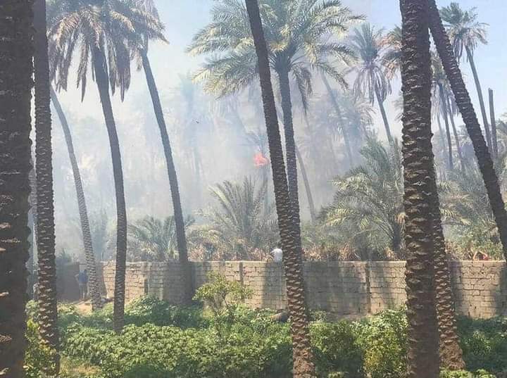 Mo7ammedyossef's tweet photo. جهات مجهولة تحرق عشرات الدوانم من بساتين الفاكهة في ناحية الوجيهة_ديالى لليوم الخامس على التوالي مع صمت الحكومة المحلية .
@zaidabdulwahab
@ABDLQADERALNAEL
@malkobaysi https://t.co/mCxpMH4mNH