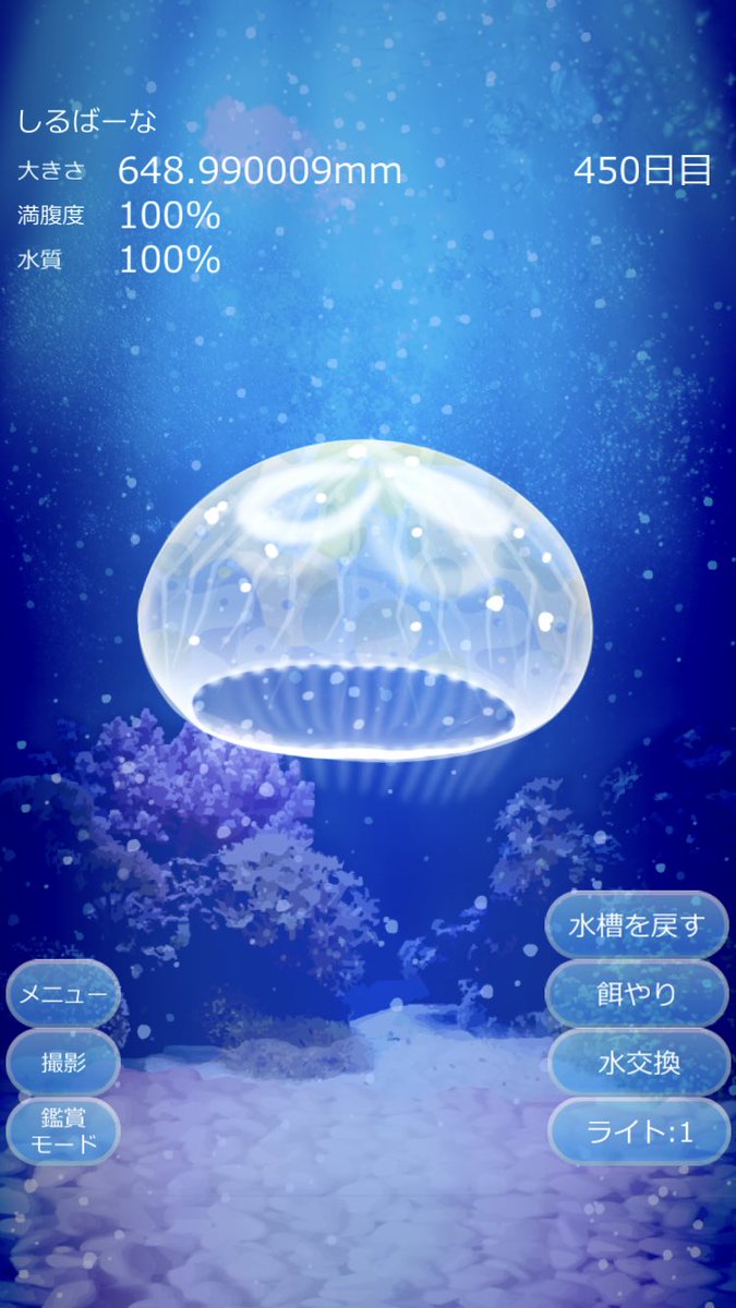 クラゲ Hotワード クラゲ Hotワード