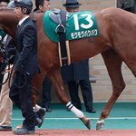 食欲旺盛でよく食べていたら？「モグモグパクパク」と名付けられた競走馬!