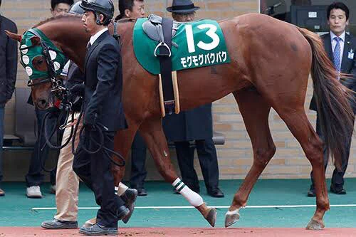 食欲旺盛でよく食べていたら？「モグモグパクパク」と名付けられた競走馬www