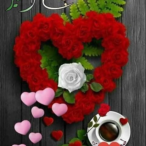 Nawar79487502's tweet photo. https://t.co/IQK5R6xXDa؟ https://t.co/WzbrIEpqq6