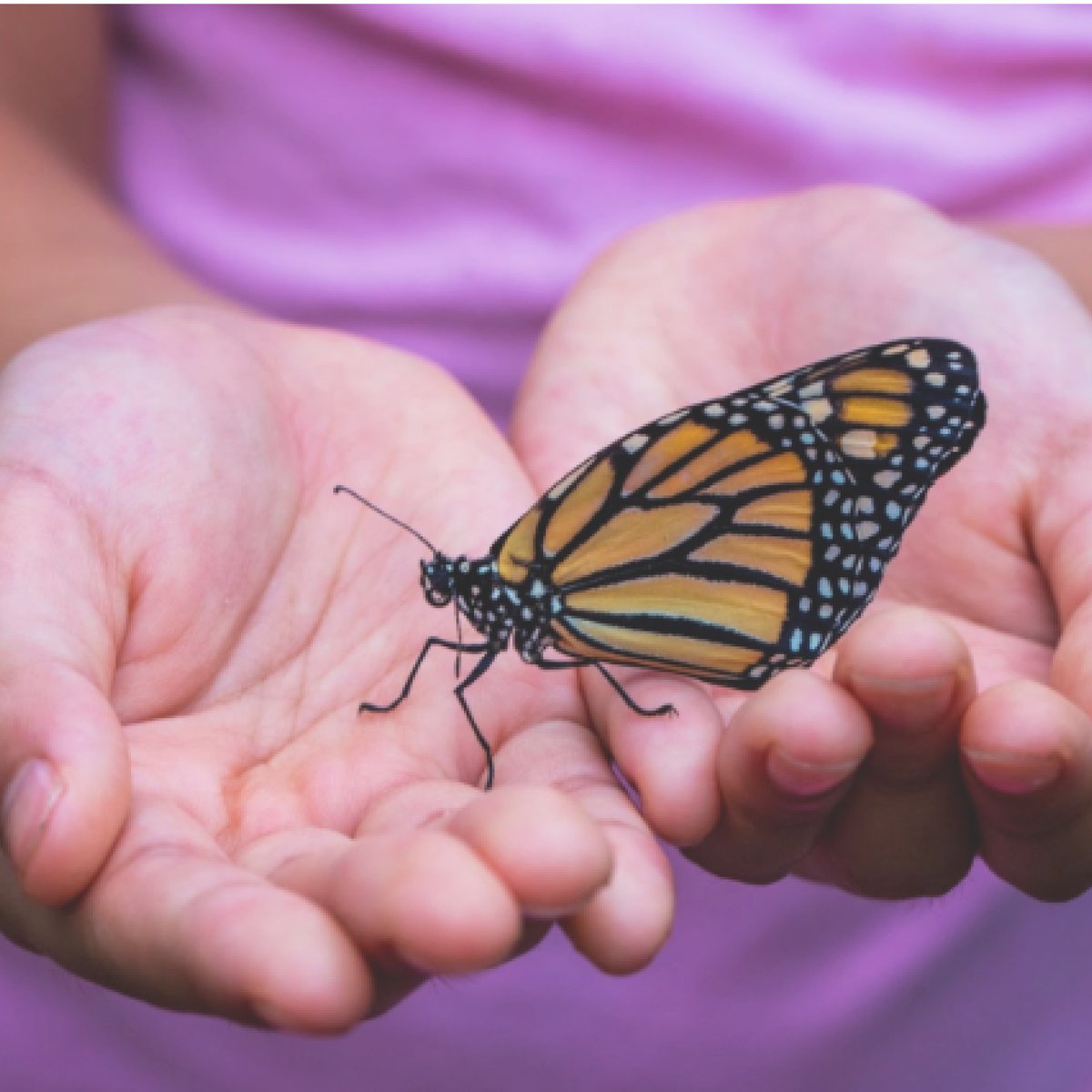 EAP_MBTB's tweet photo. ¿Sabes que la práctica meditativa llevada a cabo con rigor, continuidad y cierta intensidad da lugar a una profunda toma de conciencia sobre la importancia de los recursos internos para la satisfacción vital? → https://t.co/cIj2O9ijiD 
#AtenciónPlena #Meditación #Mindfulness https://t.co/cZPxn8KUTV