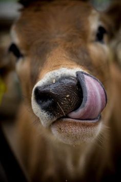 Salut Twitter !
J'suis nouvelle ça marche comment ?