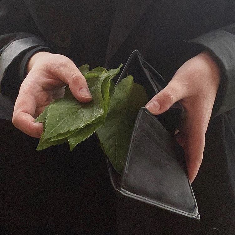 suzu17_'s tweet image. กระเป๋าเงินในช่วงยุคโควิด