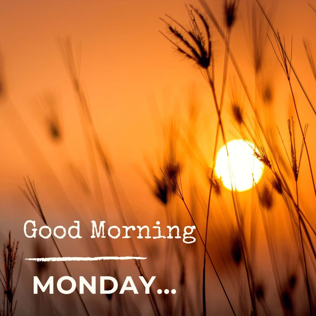 vocal_rogue's tweet photo. Morning World ❤️ #Comm_Unity
We hope you addressed the stress over the weekend, slept well & revitalised in restarting your journey on this new day
it's essential for us all to get back to talking
as so many people struggle in the era of technology in your community 👌 #ITRTG https://t.co/bTeqitwlKq