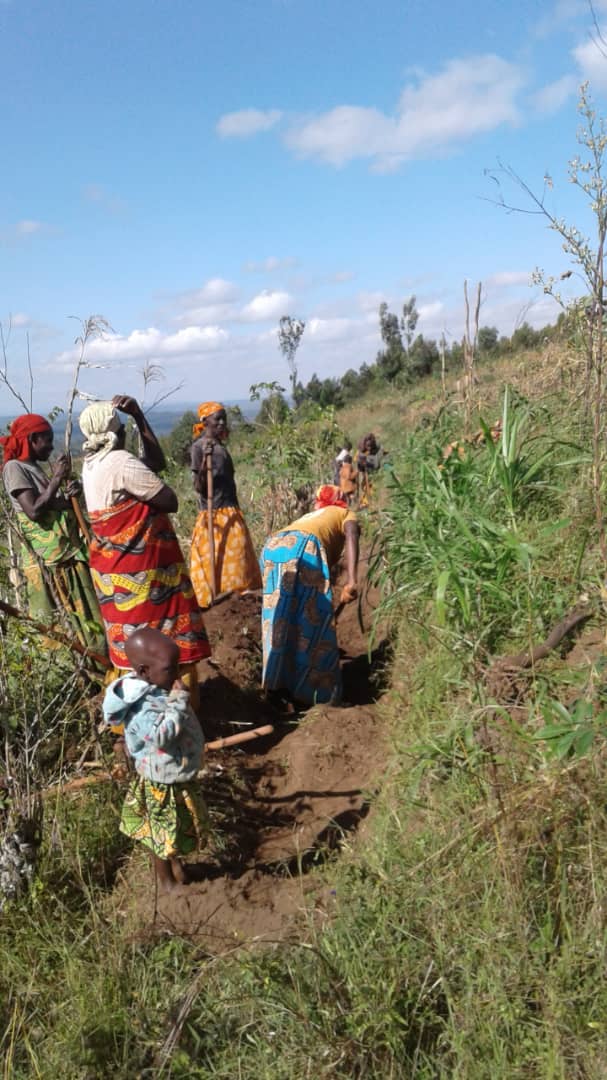 T_argos's tweet photo. Les cultivateurs de la colline #Bigera, Commune #MUTAHO de la province de @Gitega en collaboration avec l'  association @oneacrefundbu qui opère dans le domaine agricole entreprennent un projet entretenir les  s courbes de niveau.
Signalons que ce projet s’étend sur plus de 7km. https://t.co/kUv8pT3h1E