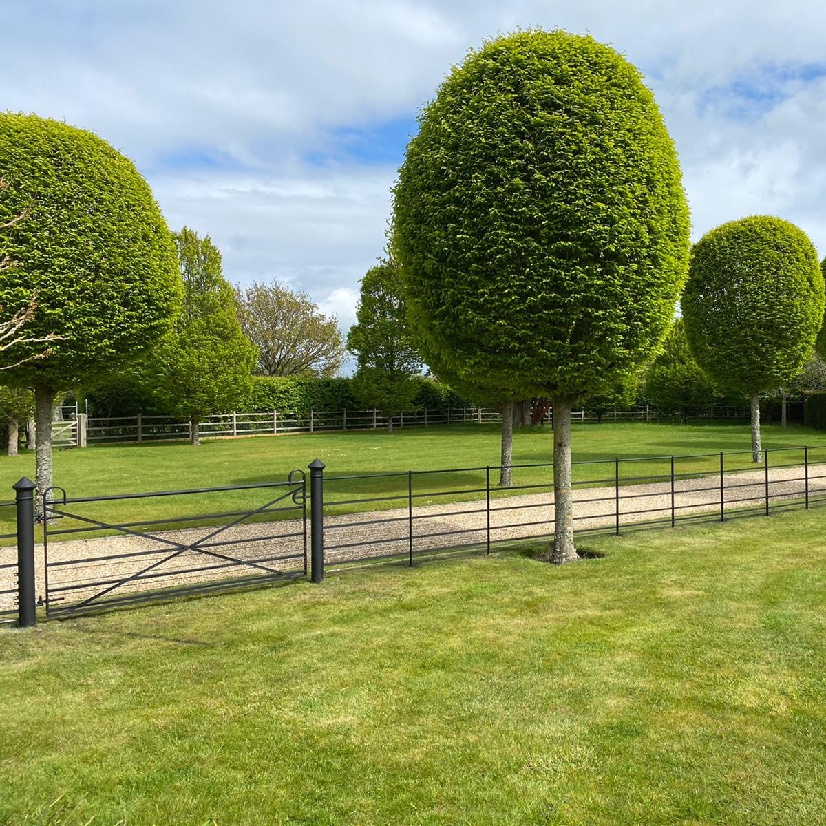 ttc_ironwork's tweet image. Diamond Estate Gate with Rutland end posts and our Estate Fencing in the New Forest.  
All of our metal parkland gates are handmade in our workshop using quality materials and manufactured to exacting standards.

#diamondgate
#metalgate
#newforest
#gate
#steel
#thetraditionalco