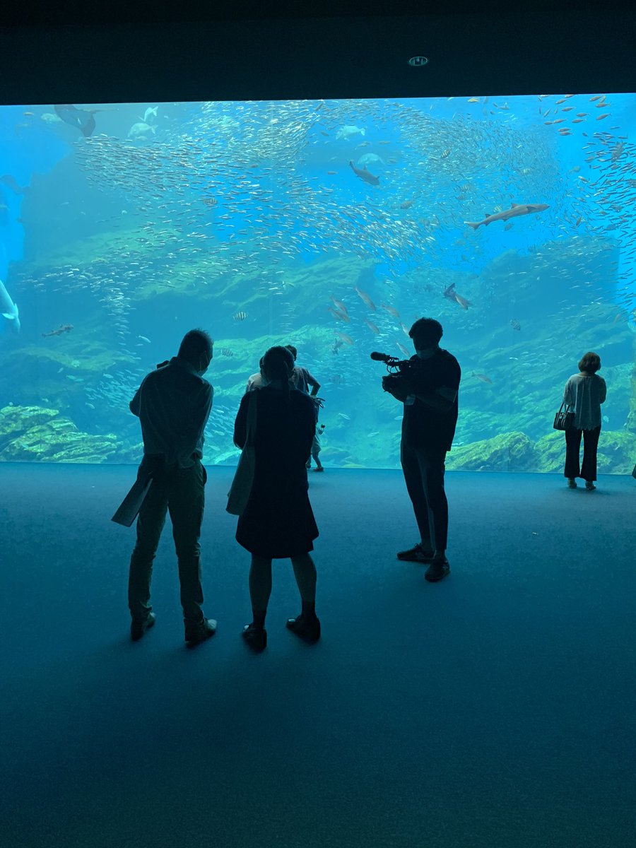 海と日本プロジェクトinみやぎ 仙台うみの杜水族館と宮城県水産高等学校とのコラボ企画がついに始動 海に特化した水産高校とコラボフードメニュー開発と 海について考えるきっかけに繋げていくクイズラリーを実施 企画考案は全て高校生 コラボ企画は7月 海と日本プロジェクトinみやぎ 仙台うみの杜水族館と宮城県水産高等学校とのコラボ企画がついに始動 海に特化した水産高校とコラボフードメニュー開発と 海について考えるきっかけに繋げていくクイズラリーを実施 企画考案は全て高校生 コラボ企画は7月