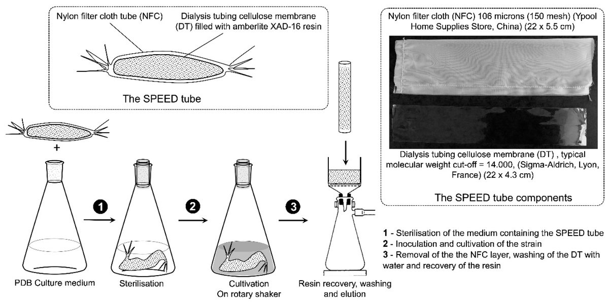 Marine_Drugs's tweet photo. #mdpiMarineDrugs New Article
🗞️Solid-Phase #Extraction Embedded Dialysis (SPEED), an Innovative Procedure for the Investigation of #Microbial Specialized #Metabolites 
🔗https://t.co/FIvrV5D7Rn
#SolidPhase #MolecularNetworking #Streptomyces https://t.co/Fe5Xb0r7g5