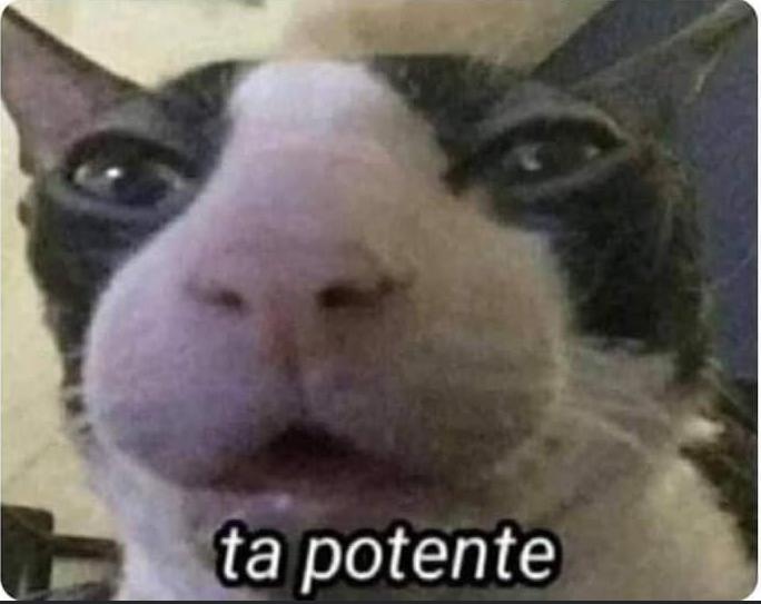 Queria dormir ahorita pero como ya va a amanecer para que, mejor sigo viendo memes