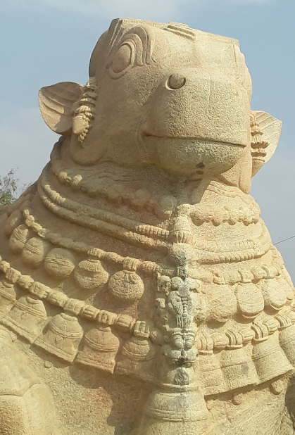 TheSaveTemples's tweet photo. The great Nandi Maharaj's idol is carved out on a monolithic rock at Lepakshi temple, Andhra Pradesh. 

This idol was built in 16th century by Vijaynagar Dynasty whose tableau was shown during this year's parade of republic day. https://t.co/XHuUWVdUVV