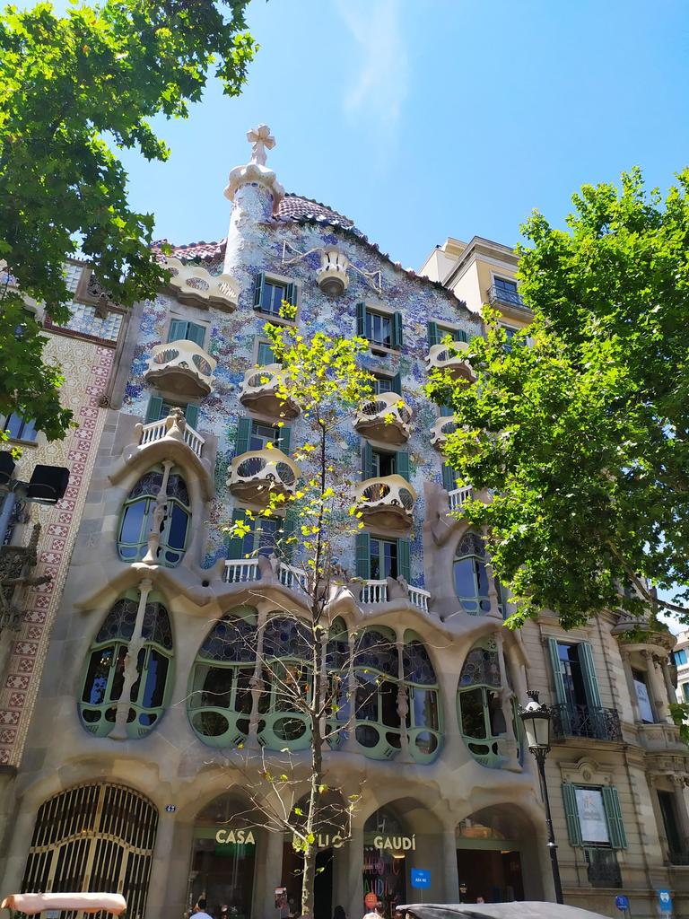 pipiatroni's tweet photo. @goldsant Hi. Dear Goldy. You take some lovely photos of the birds. I don't. Not being good at taking pictures of the birds. I love seeing your pictures so well made. Thanks to you and your colleagues, I can enjoy your lovely birds. 😘💞💖🙏🙏💙
Modernist Casa Batlló in Barcelona https://t.co/s62vPQzMX1
