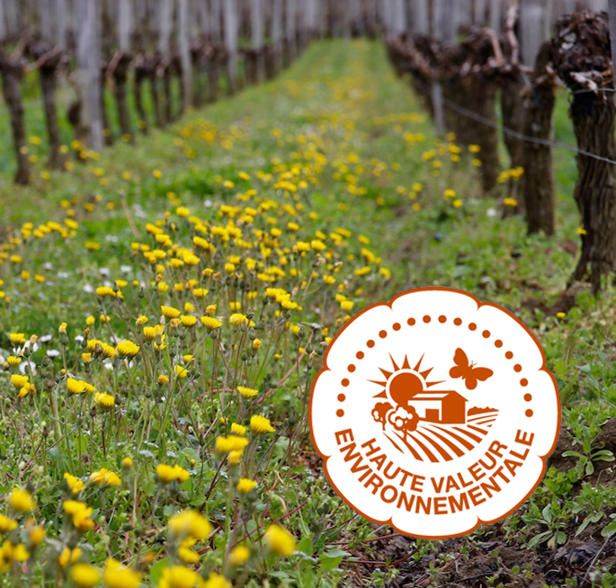dshwine's tweet photo. See our summer 2021 events.  

On Friday 9th July we will be hosting our main event of the summer - a music night with 3 course hog roast.  

We are also delighted to have been accredited with France's top award for sustainable farming and bio-diversity
 - https://t.co/Ca5Ce5Aixq https://t.co/9c5aoyguC6
