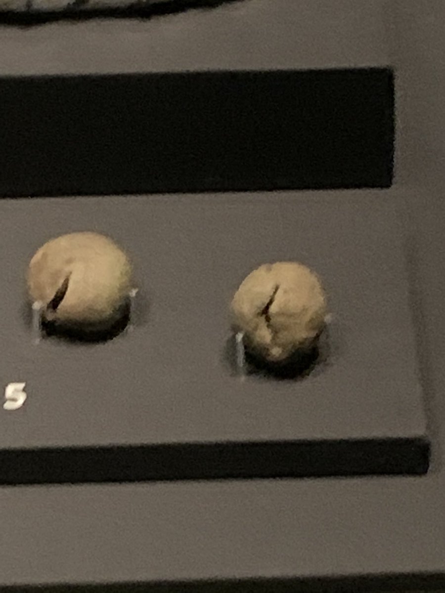 Get along to @NtlMuseumsScot to see the #GallowayHoard. The metal objects were fascinating, but why do I find most interesting the two balls of earth? @anna_dorrian