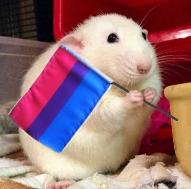 feliz día putones
