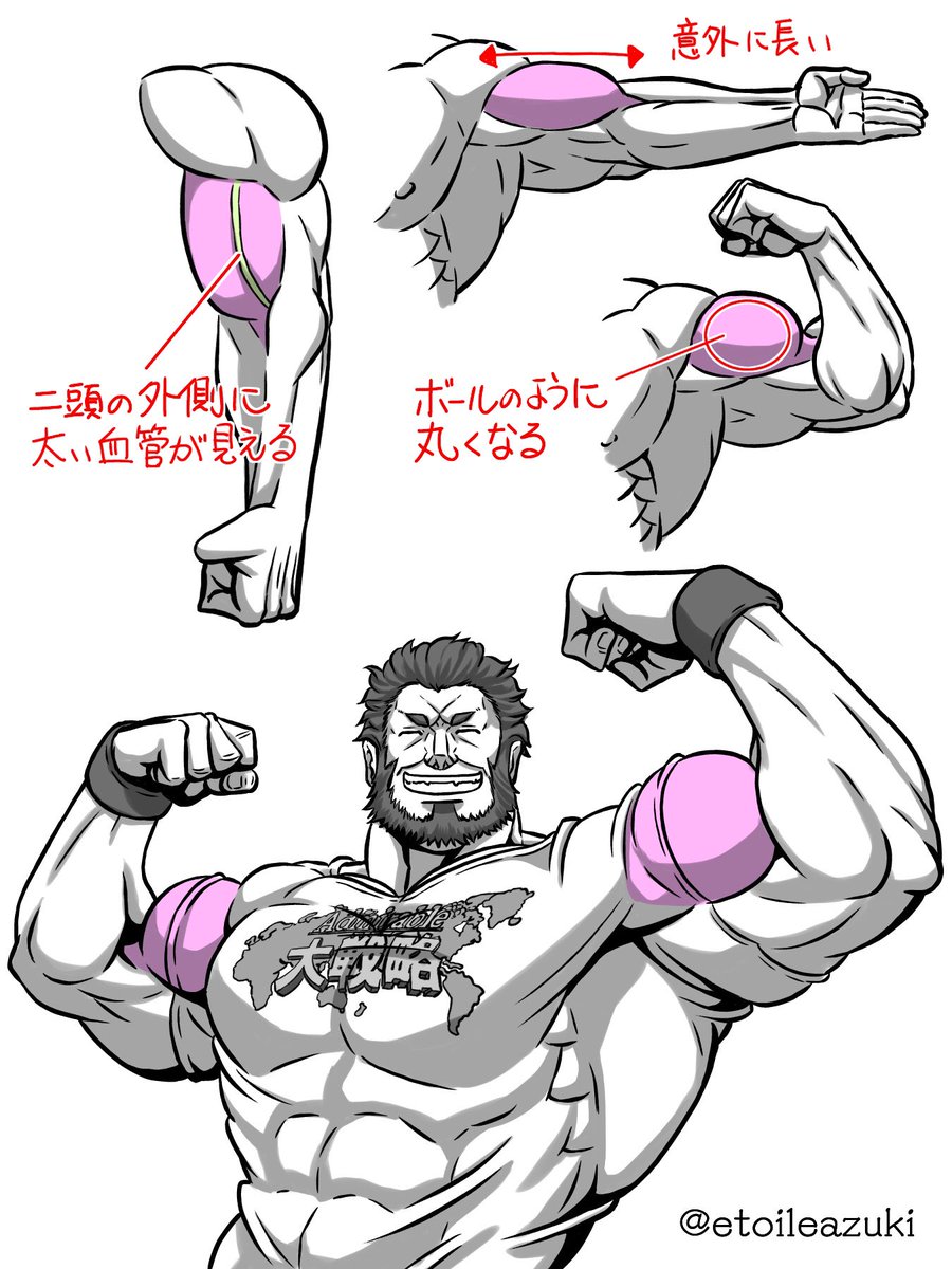Twitter筋肉の描き方シリーズ 腕の筋肉 筋肉のイラスト制作のことなら 筋肉イラスト製作所