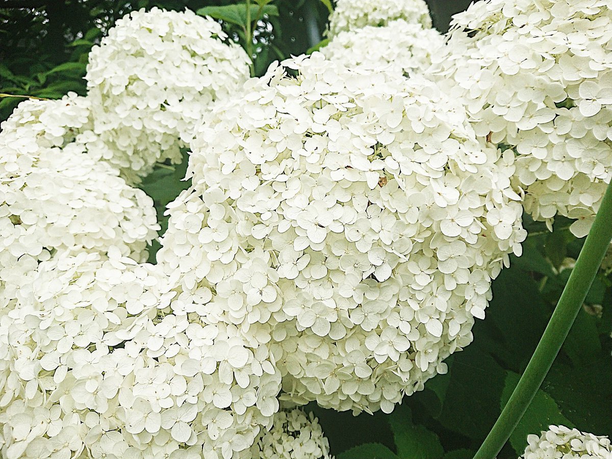 mi4rinrin's tweet photo. おつかれさま𓂃܀ꕤ୭* https://t.co/1dZ80yBWkx