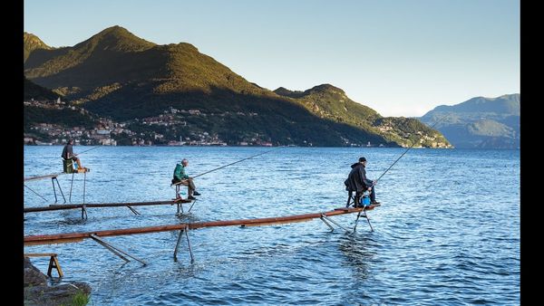 Il Lago di Como è anche tradizione 💙
Conoscete la pesca degli agoni del Lario? Ha inizio verso la metà di giugno 🐟 Qui trovate tutta la spiegazione 👉bit.ly/2UA2j2H 

#28giugno #inLombardia #tradizioni #food #LakeComo #LagodiComo