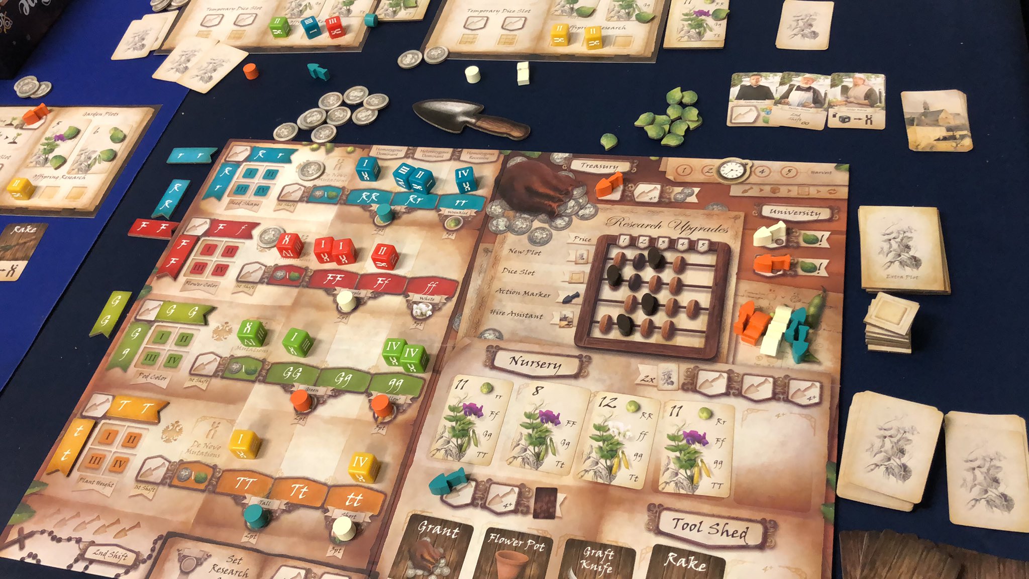 Masayuki Nakano ボードゲーム専門店 名古屋黒川バネストの中野 A Twitter ジェノタイプ 準備ちう メンデルの遺伝をテーマに ダイスドラフトを介して 助手と道具どう活かすかのゲームです さらにコマがワンダー 期待大です T Co Gzrr44nq7u Twitter