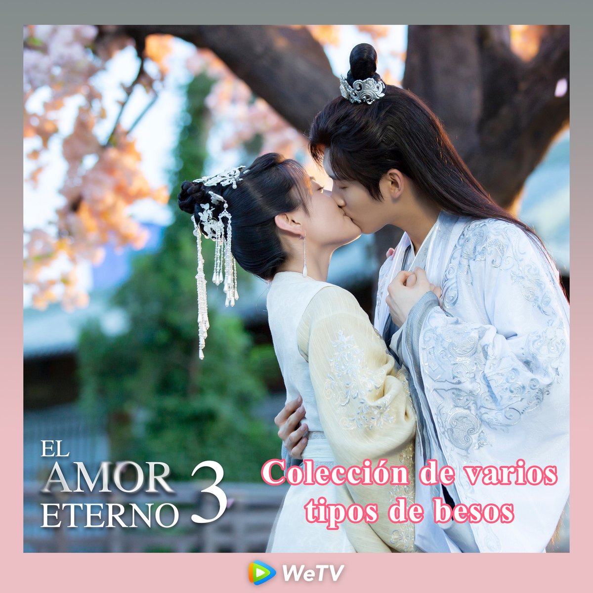 WeTV_Spanish's tweet photo. Tan'er y Liancheng se besaron tanto, ¿cuál te gusta más?

➡️https://t.co/3vXLjFJyAB

#xingzhaolin #liangjie #Elamoreterno3 #WeTV #WeTVSpanish #amor #cdrama https://t.co/6oFIpEGNZk