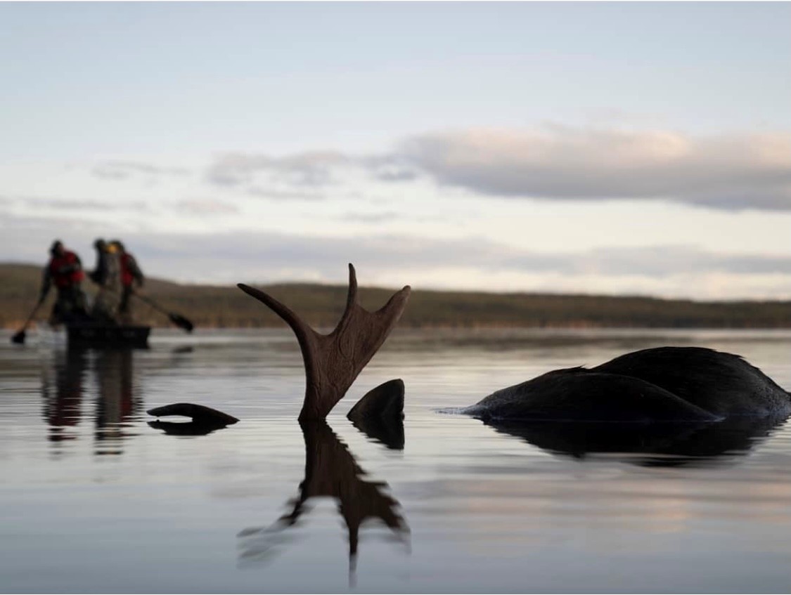 SPORTSMANchnl's tweet photo. "This photo hardly captures what we were feeling as we paddled our way in." - @beyondrubicon 

What was your most challenging recovery? 

#IAMSPORTSMAN #hunting #recovery #harvest #moose #huntinglife #hunter #beyondrubicon https://t.co/6ncTckuNO1