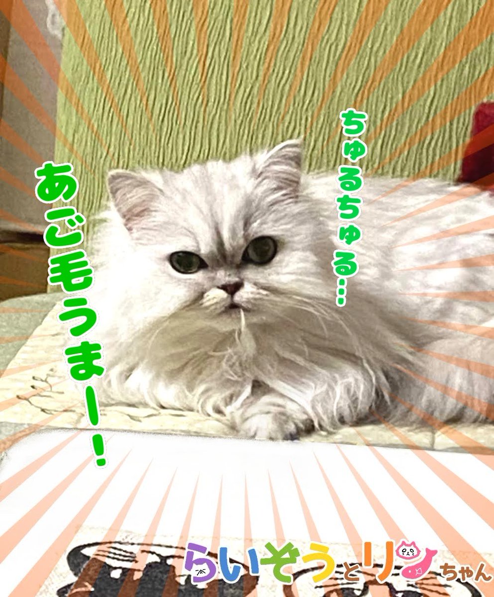 行徒 Yukit0o0 Twitter