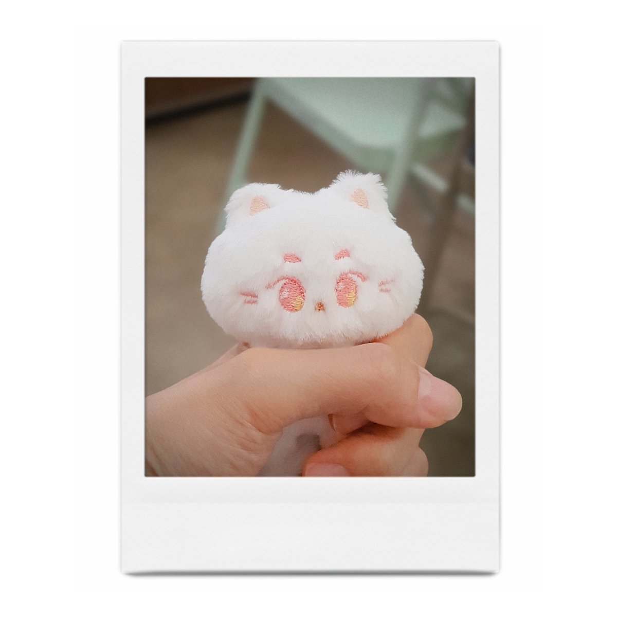 뚱슐 사진 좀 보여드릴까요