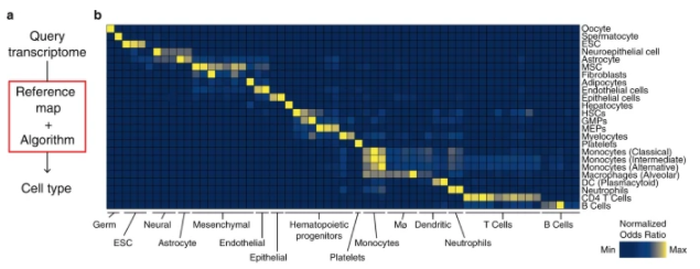 Haematopoietic stem and progenitor cells are present in the tumour microenvironment associated to poor prognosis and increased immunosuppression in glioblastoma

go.nature.com/3jlMIOH

#CancerResearch

<a href="/CDobersalske/">Celia Dobersalske</a> <a href="/DKFZ/">DKFZ</a>   <a href="/DKTK_/">VomLaborInDiePraxis</a>   <a href="/unidue/">Uni Duisburg-Essen @unidue.bsky.social</a>  <a href="/UniklinikEssen/">Uniklinikum Essen</a> <a href="/unidue_zmb/">ZMB</a>