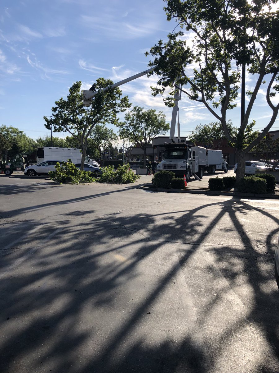 Heat hitting 111 degrees this week and they’re trimming trees?