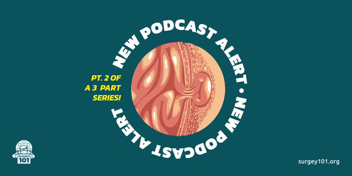 surgery_101's tweet photo. 🚨 #NewPodcast alert! Our newest #Surgery101 podcast episode is up on our website &amp; app!

This week we're all about Obturator Hernias: https://t.co/mUZUBVNj8Z

Thanks to our new followers for joining the #Surgery101Community!
#MedEd #MedEdTwitter #OpenSource #MedStudentTwitter https://t.co/9WltPEmvmV