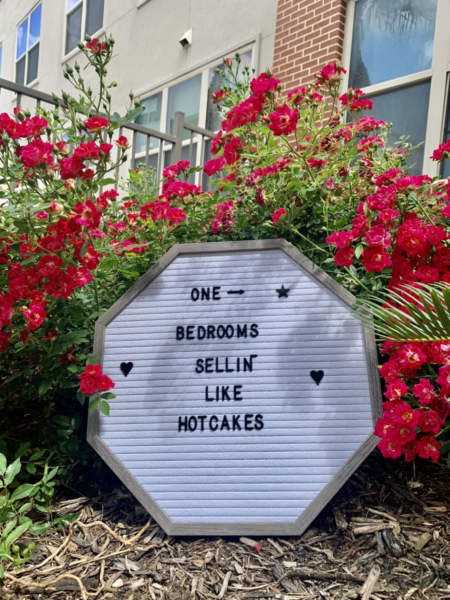 TobinLofts's tweet photo. We may not be McDonalds, but our 1 bedrooms are sellin like HOTCAKES! Get it while it’s hot! 🔥

-2 San Pedro’s LEFT
-7 Studios LEFT
-10 McCulloughs LEFT
•
•
•
•
•
#LOVEmyLofts #livetobinlofts #lovewhereyoulive #utsa50 #utsadowntown #sanantoniocollege #stphilpscollege... https://t.co/iXA8xD0rUp