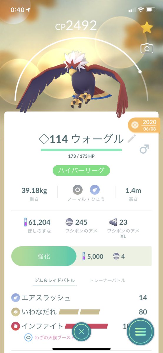 ハイパーリーグでこの子使ってるんですが意外にも活躍してくれます！
技構成知ってる人ほぼいないので壊しポケモンとして優秀です。