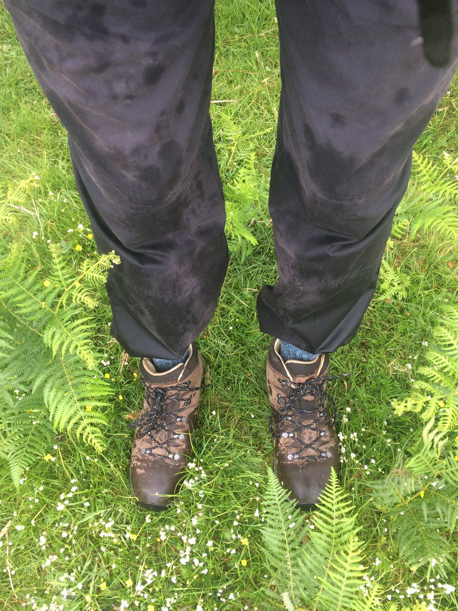 Julia Simons tweet media