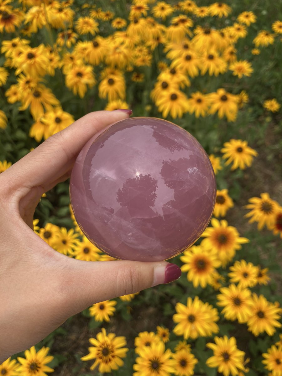 gemsandcrystal's tweet photo. Dark rose quartz spheres 

#crystalshop #crystalsforsale #shopcrystals #crystalmagic #crystallove #crystalsofinstagram #minerals #instarocks #instacrystals #mineralcollecting #healingstone #gems #crystalsofinsta #spirituality #amethyst #amethystspheres #crystalrainbows https://t.co/9j2eig5sqE