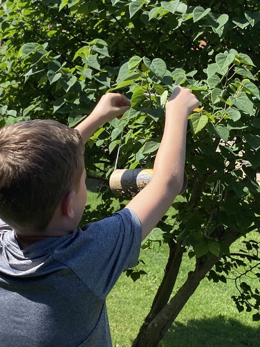 More bird feeder pictures. #sumnerscholars #jackandersonelementary #firstgrade
