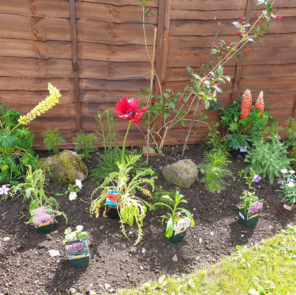 HorseTimeorguk's tweet photo. She even put them where they were best to be planted. 

Thank you so much for your support Lynda, it really is so appreciated. https://t.co/AtB4eKOTJQ