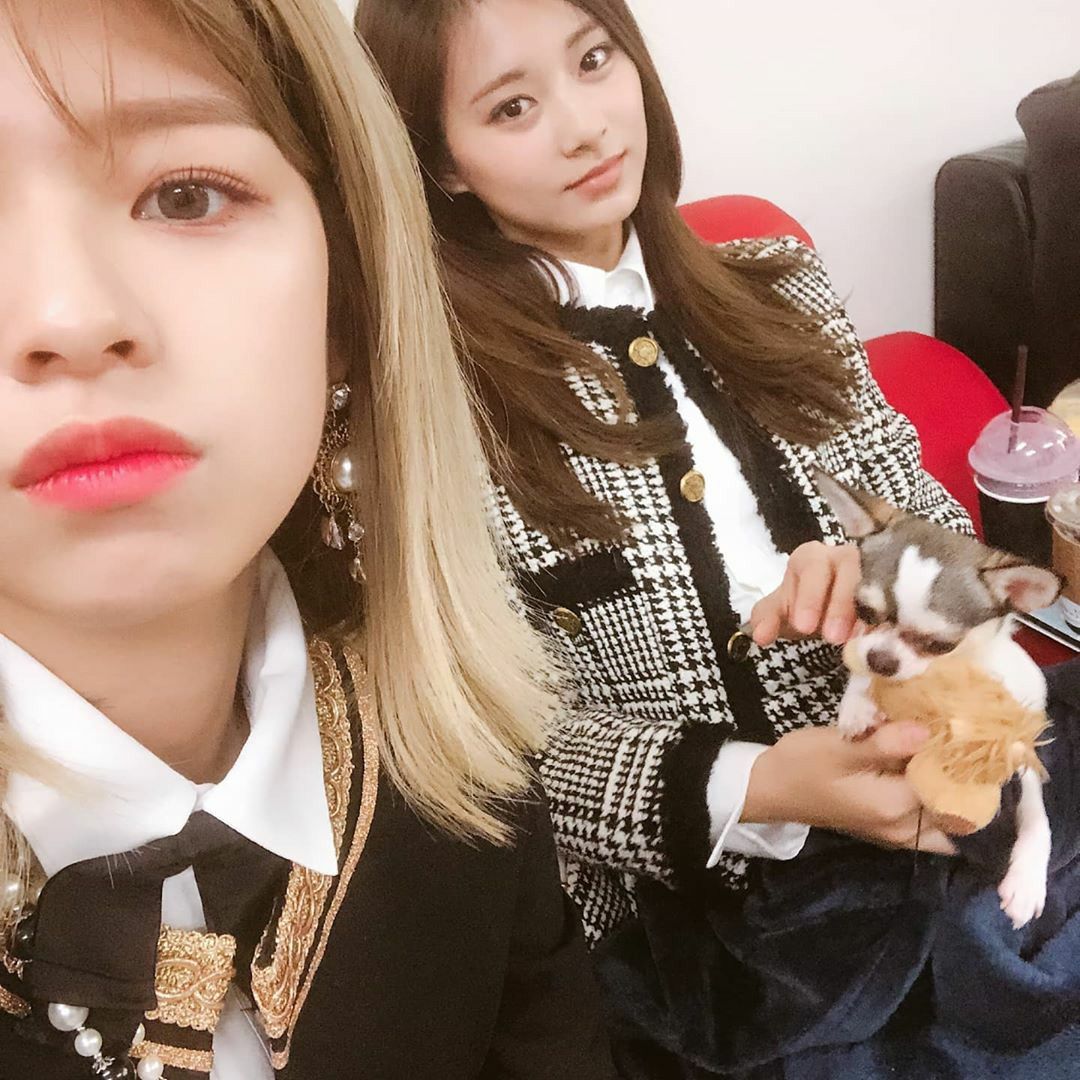 hourly 230즈 (@hourly230s) on Twitter photo 