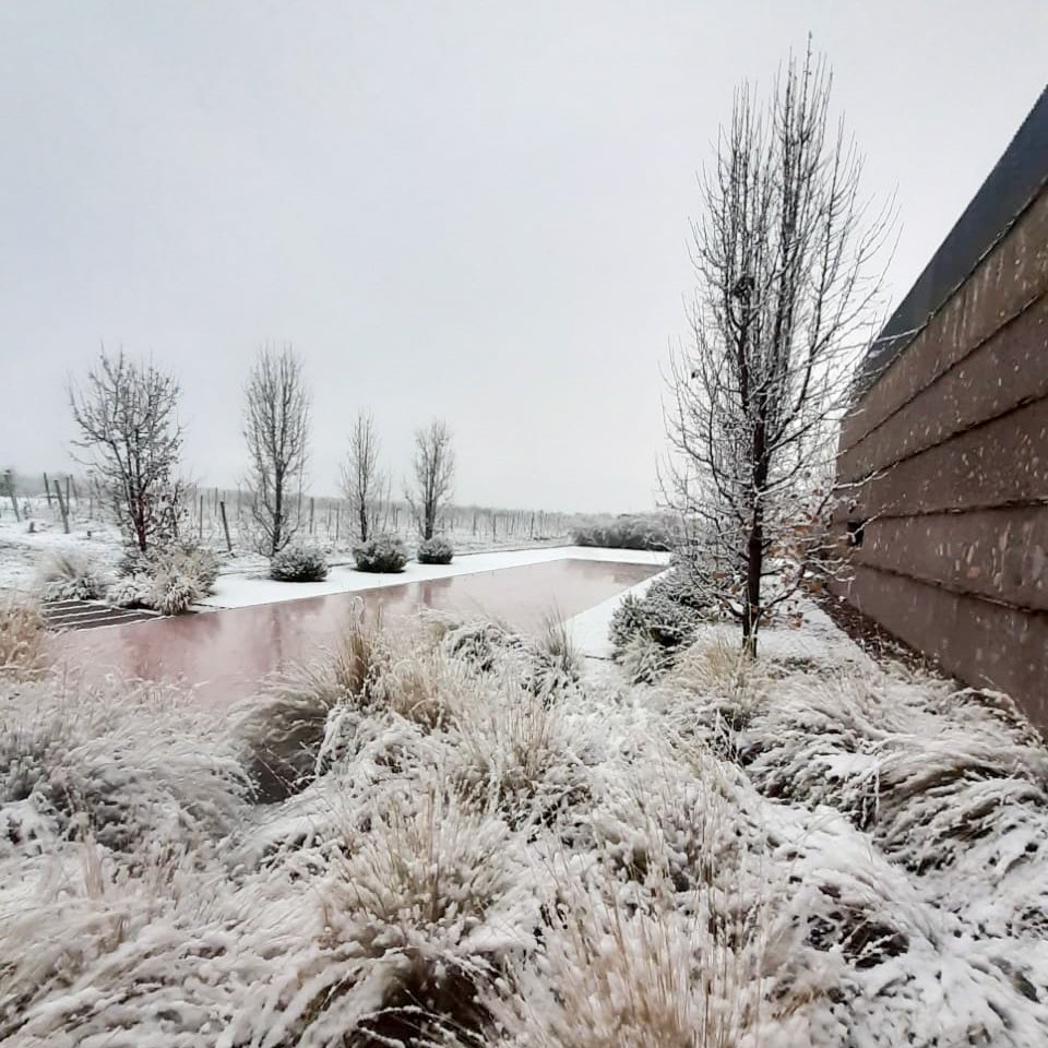 Primera nevada del año en Solo Contigo Wines. ¡Qué lindo que se pone <a href="/loschacayes/">Ig_loschacayes</a> en esta época del año! ❄️💕
.
.
.
.
#loschacayes #mendoza #solocontigowines #invierno #argentina #wine #winelovers #bodega