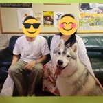 ツイートに含まれる画像