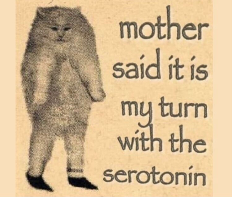 Hiatus Kaiyote (@hiatuskaiyote) on Twitter photo 