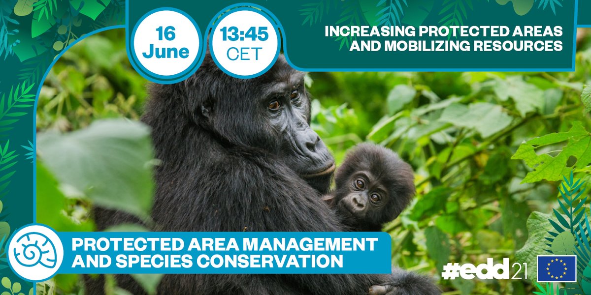 EU_Partnerships's tweet photo. Don't we all want to survive and thrive?
So let's make sure other species can too.

In this session we'll be talking about:
👉managing protected areas 
👉conserving species 
👉protecting habitats 

🔴Discover how we can protect #biodiversity at #EDD21 👇
https://t.co/iuQyMKopL2 https://t.co/Wg3IVjDxSO