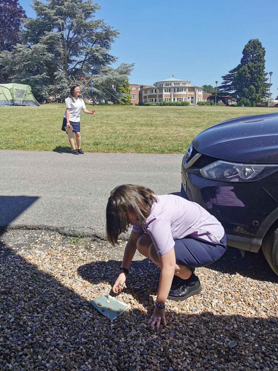 RMS Photography tweet media