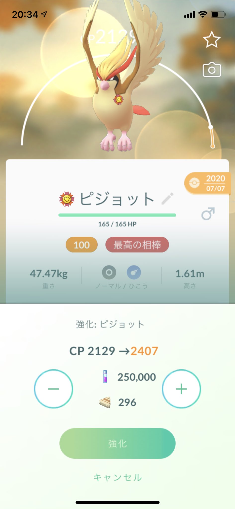 ポケモンgo部 ロケットニュース24 ピジョットをフル強化 メガシンカしたらcp4000超えました サンジュン T Co Lbkhamagrk Twitter