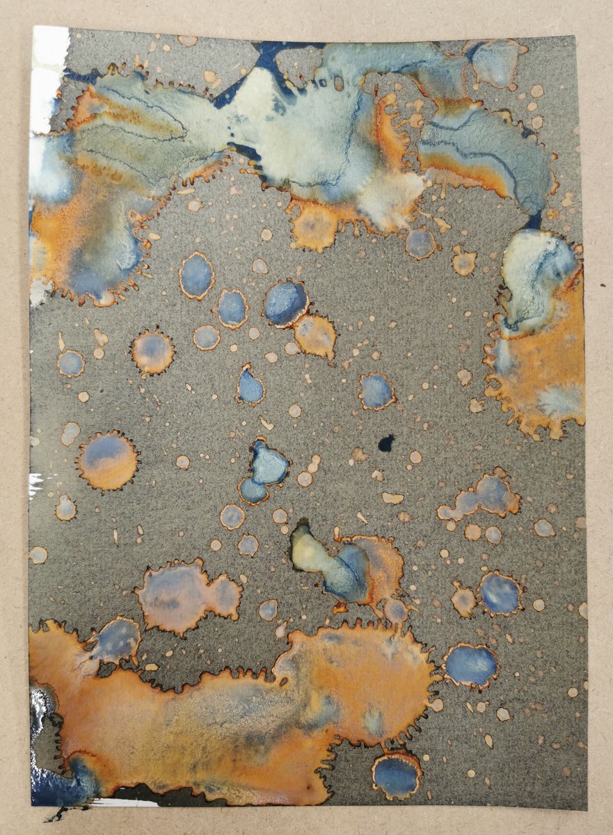 Year 12 have been enjoying the sunshine, while developing cyanotypes using natural forms. ☀️🌻
#photography #cyanotype